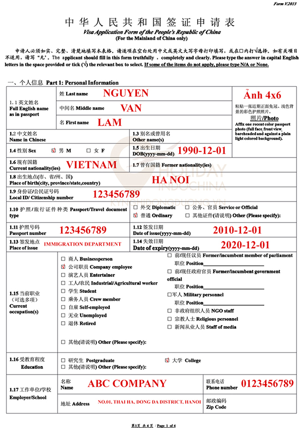 Form V.2013