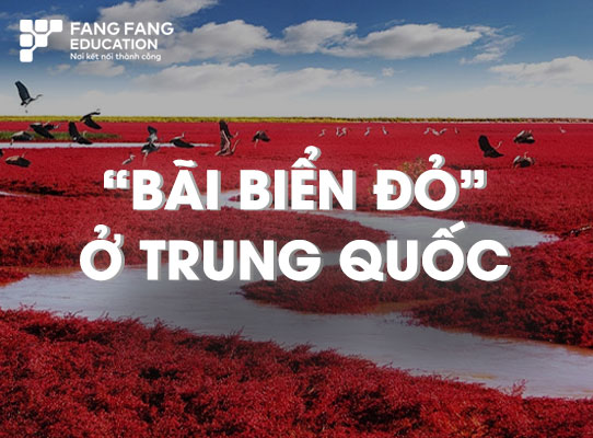Bãi biển đỏ ở Trung Quốc