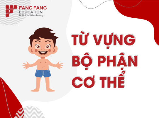 Từ vựng tiếng Trung bộ phận cơ thể