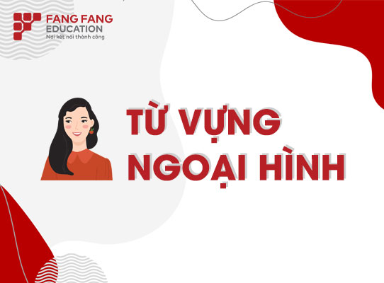 Từ vựng ngoại hình trong tiếng Trung