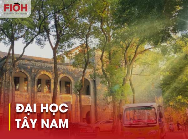 Đại học Tây Nam
