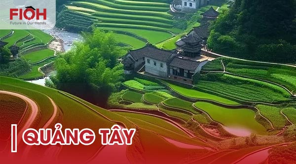 Tỉnh Quảng Tây